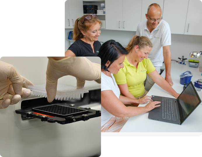 our team working together in the lab