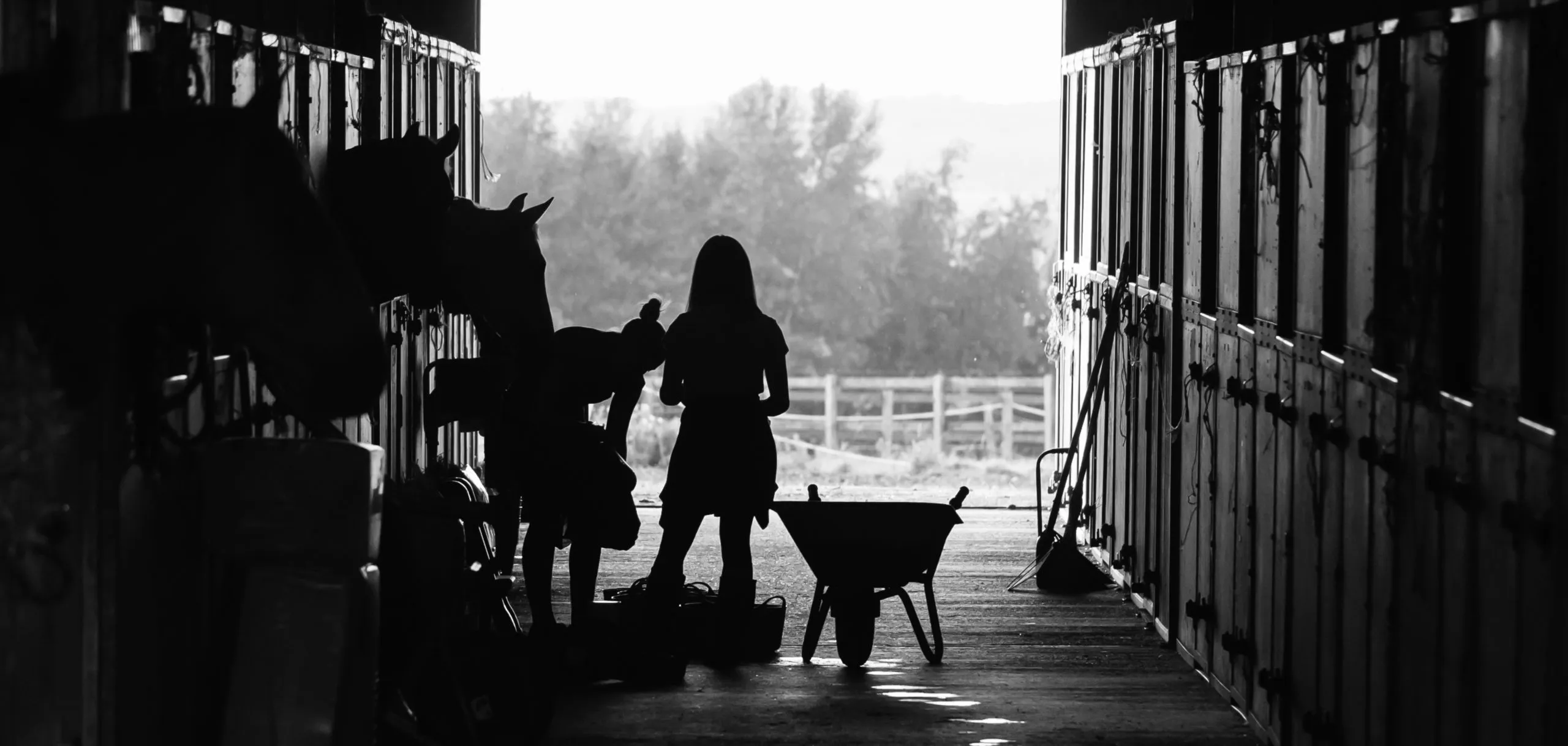 stable-4426781_BW-scaled