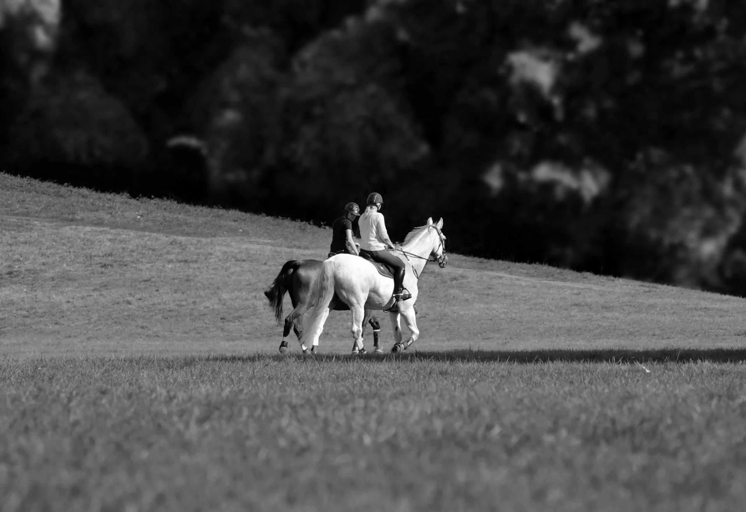 ride-out-3788373_BW-scaled